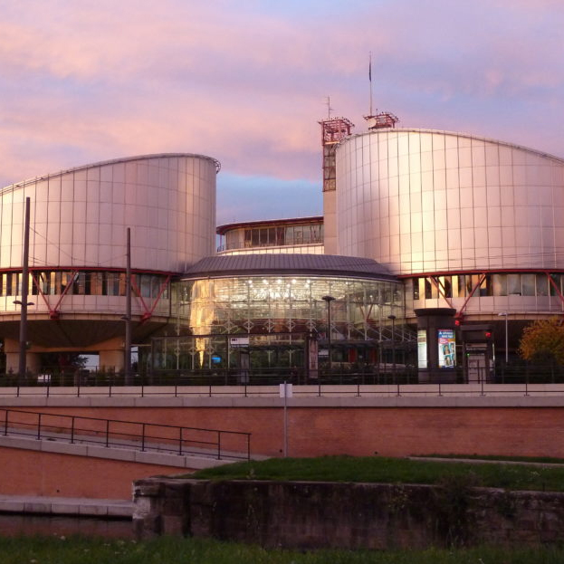 Europakonventionen (EKMR)